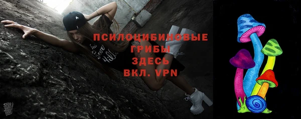 МДПВ Аркадак
