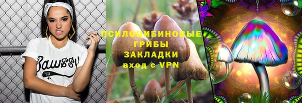 бошки Алексин