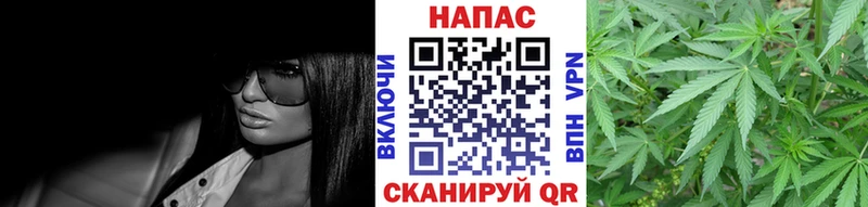 Купить  Троицк  Канабис Amnesia 
